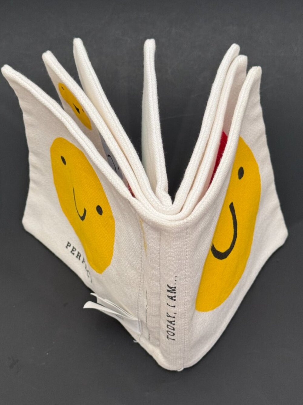 babyGap “Today, I Am…” Emotion Book by Austin DeBoer